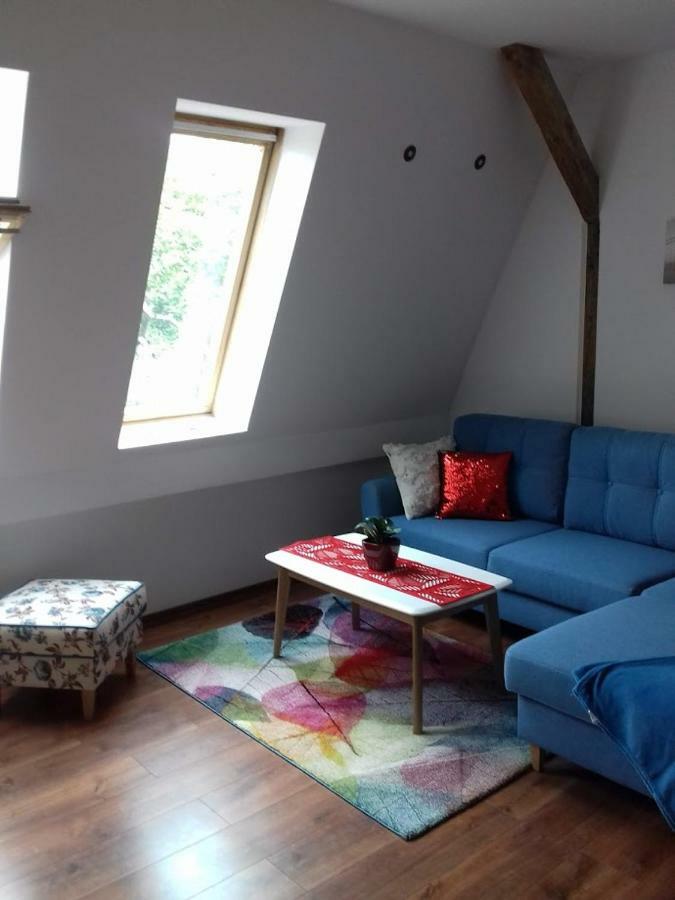 Apartament W Sercu Warmii II Olsztyn  Buitenkant foto