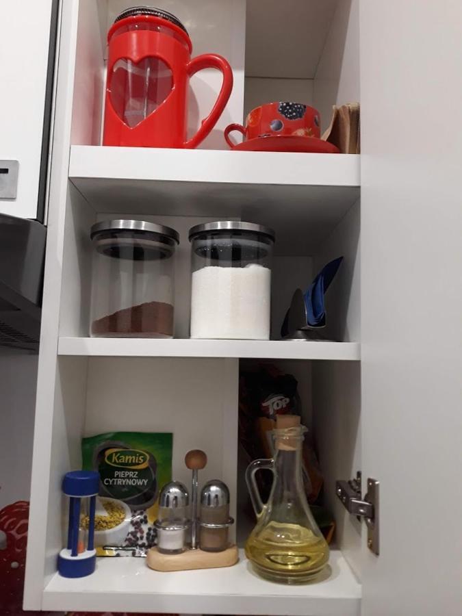 Apartament W Sercu Warmii II Olsztyn  Buitenkant foto